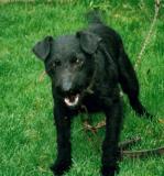PATTERDALE