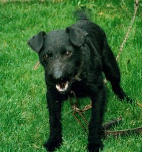PATTERDALE